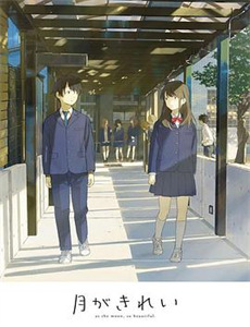 我的青春路过你的锦年