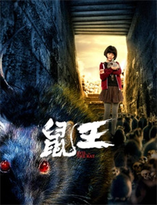 我之前的五位女友