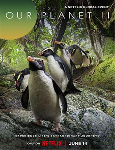 尤巴县突发新闻